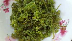 Arosep/Grape seaweed